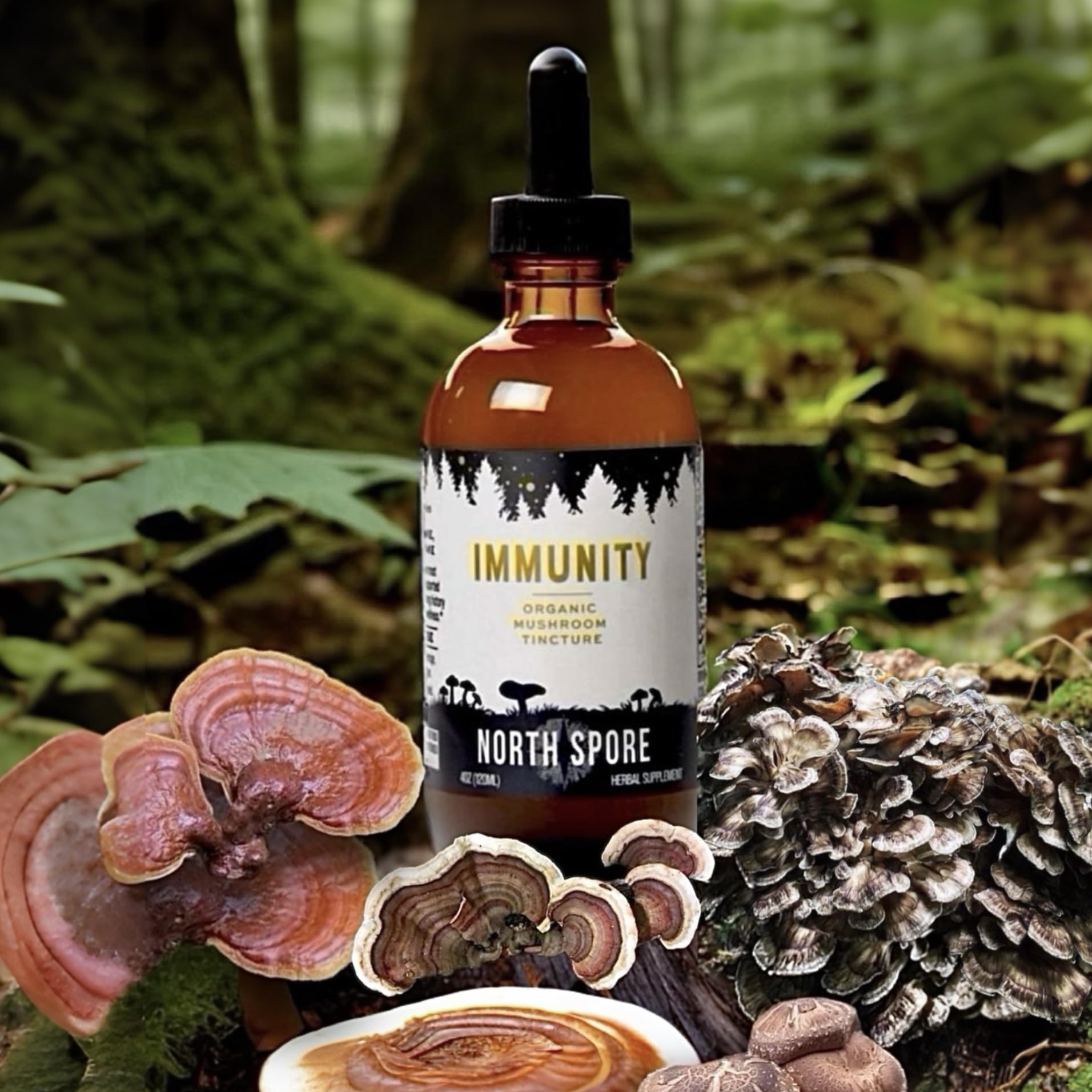 North Spore Immunity Tincture ingredients display with chaga and friends.