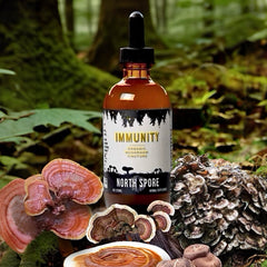 North Spore Immunity Tincture ingredients display with chaga and friends.