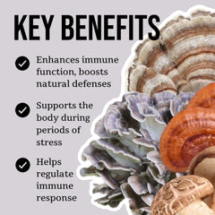 North Spore Immunity Tincture label close-up with organic credentials.