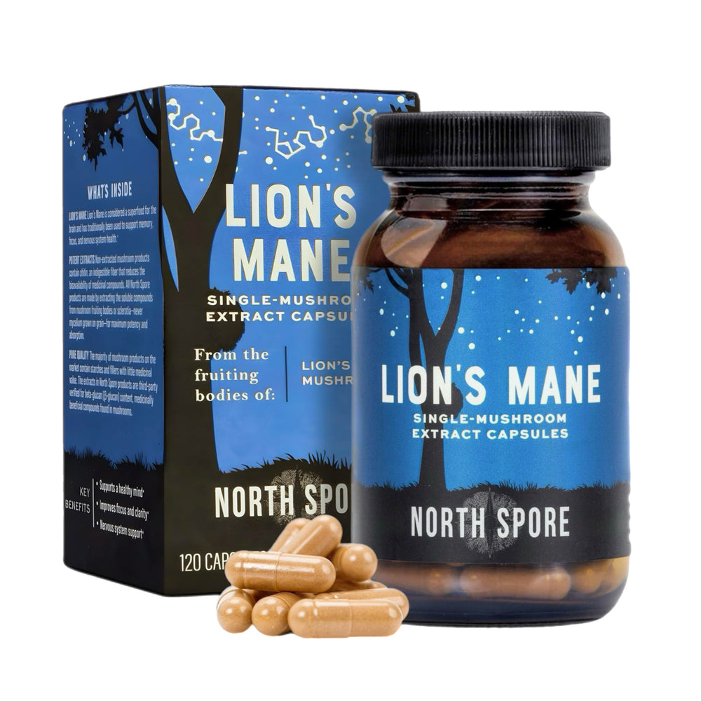 North Spore Lion's Mane extract bottle enhances focus and mental clarity for daily tasks.