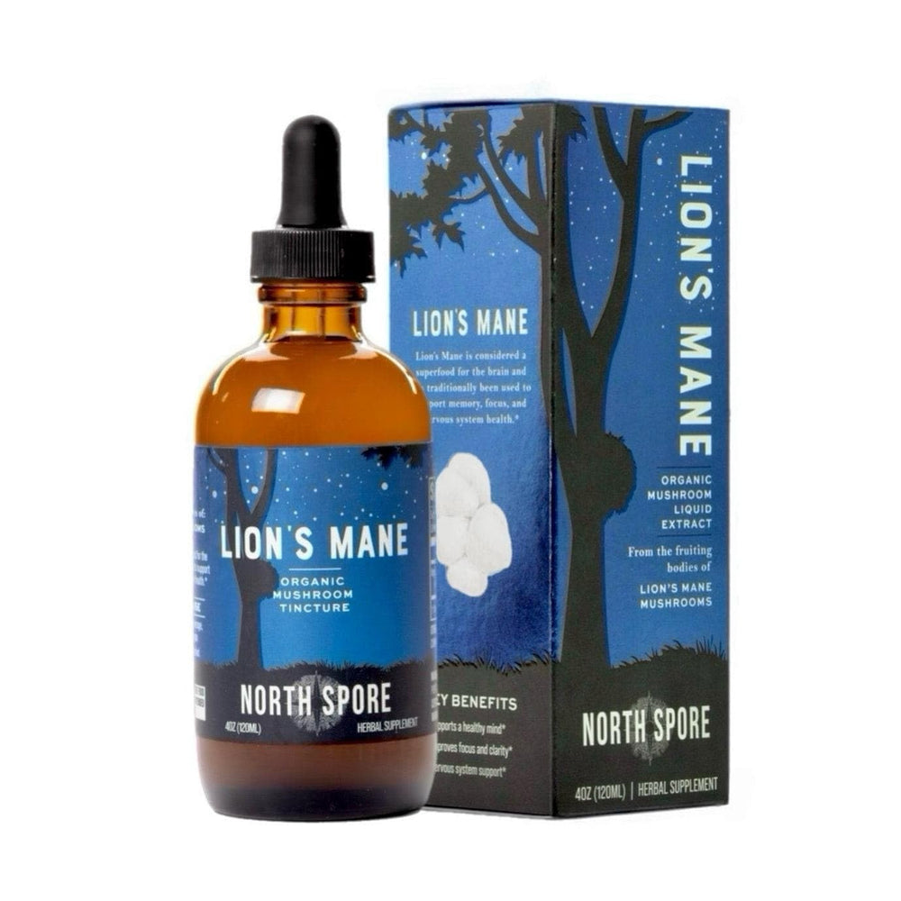 North Spore Lion's Mane tincture bottle for convenient daily brain support.