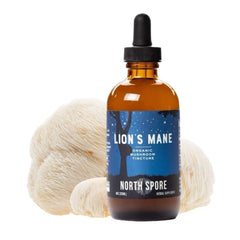 North Spore tincture dropper ready for quick, precise dosing.