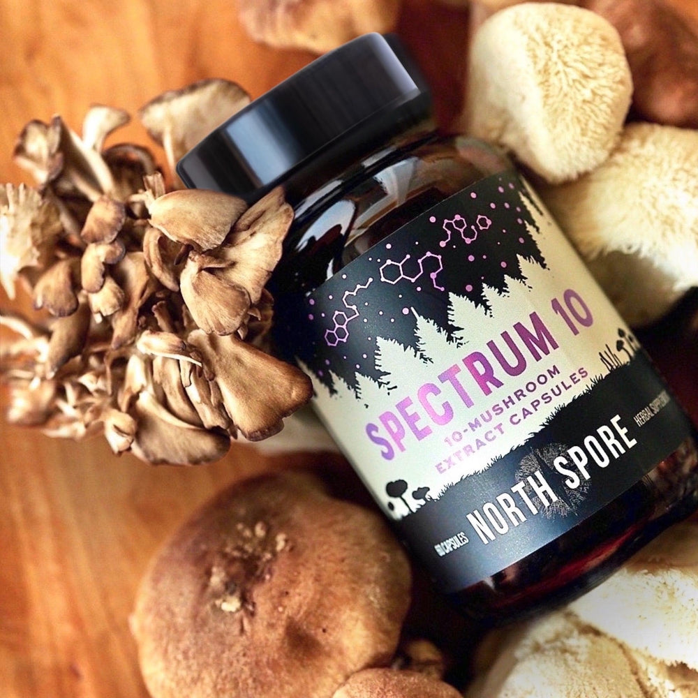 North Spore Spectrum 10 bottle on desk with sunlight and vitality vibe