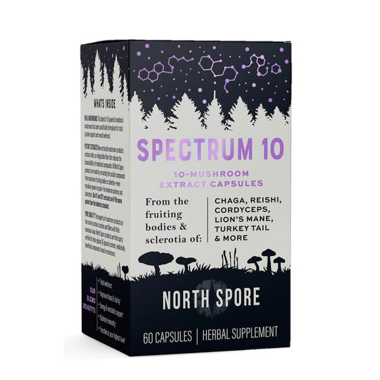 North Spore Spectrum 10 capsules close-up highlighting daily cognitive support