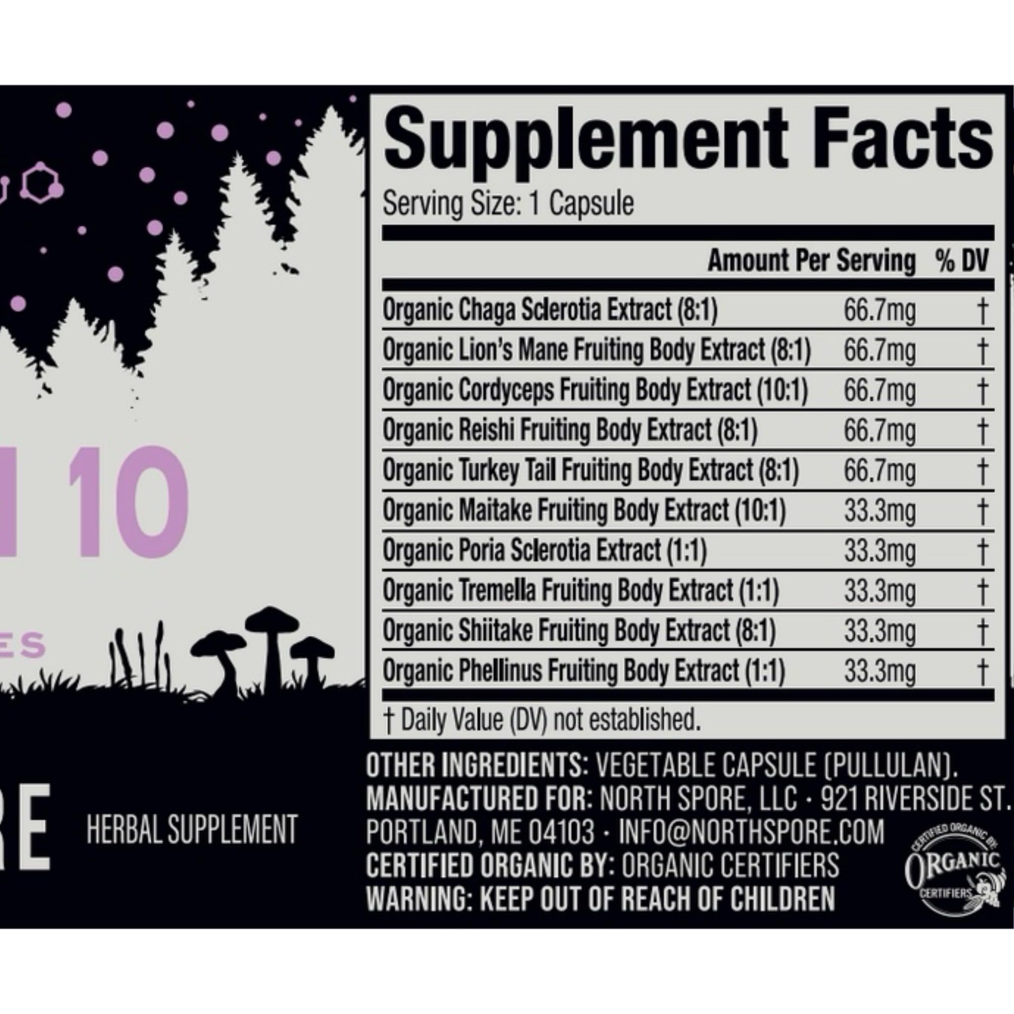 North Spore Spectrum 10 morning routine scene suggests focus and clarity