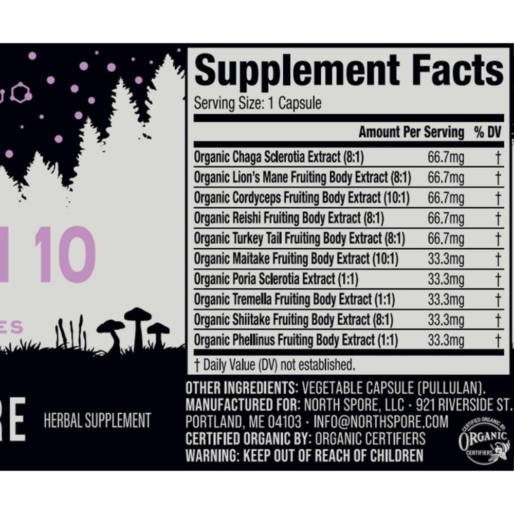 North Spore Spectrum 10 morning routine scene suggests focus and clarity