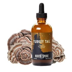 North Spore Turkey Tail tincture bottle ready for daily immune wellness.