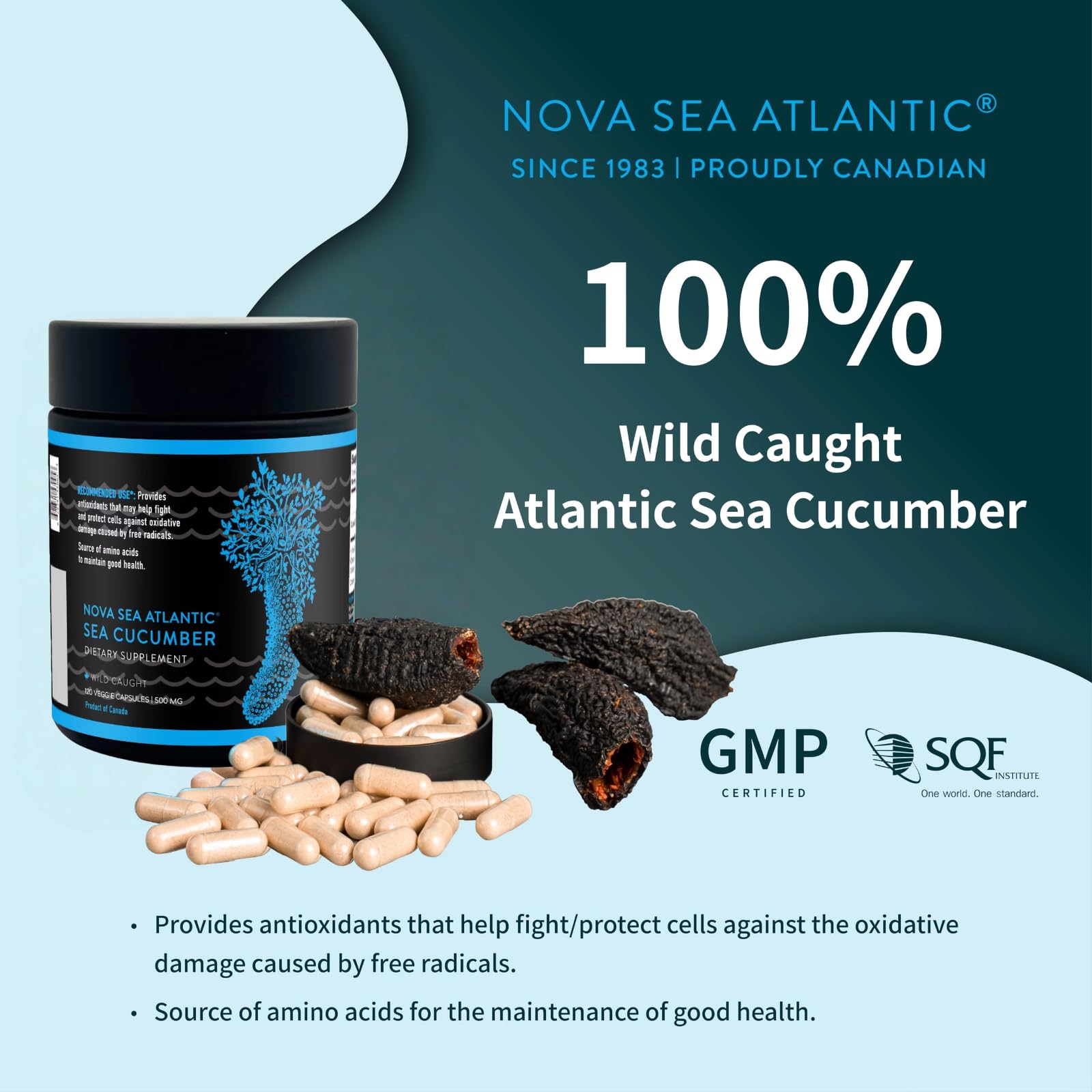 Nova Sea Atlantic product suitable for the whole family, adults and seniors.