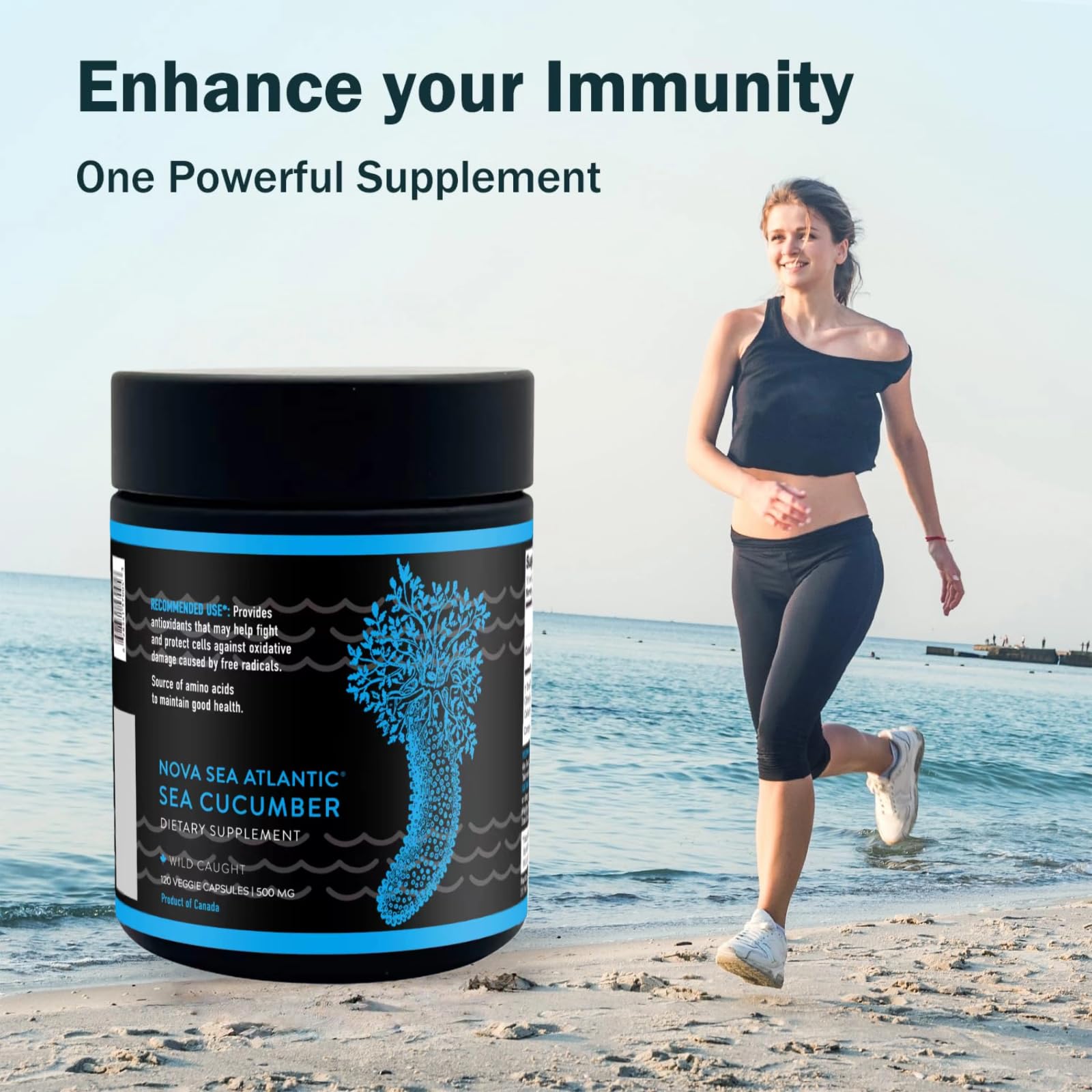 Nova Sea Atlantic ingredients profile with phenolics, mucopolysaccharides, vitamins, and minerals.