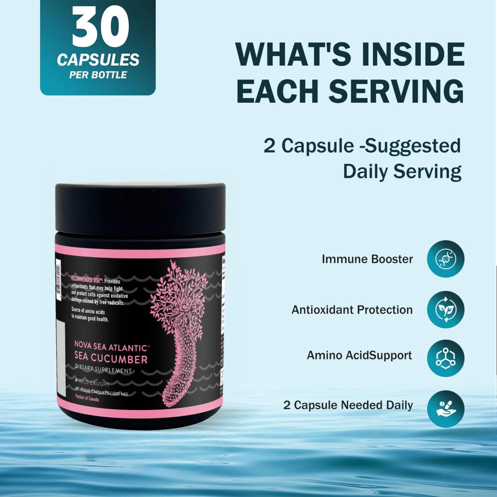 Nova Sea Atlantic product packaging emphasizes accessibility and premium presentation.
