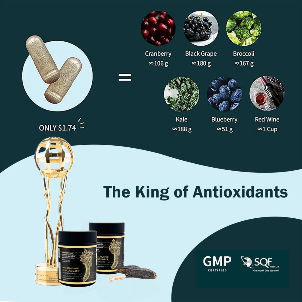 Nova Sea Atlantic sea cucumber frondoside A highlighted in capsules