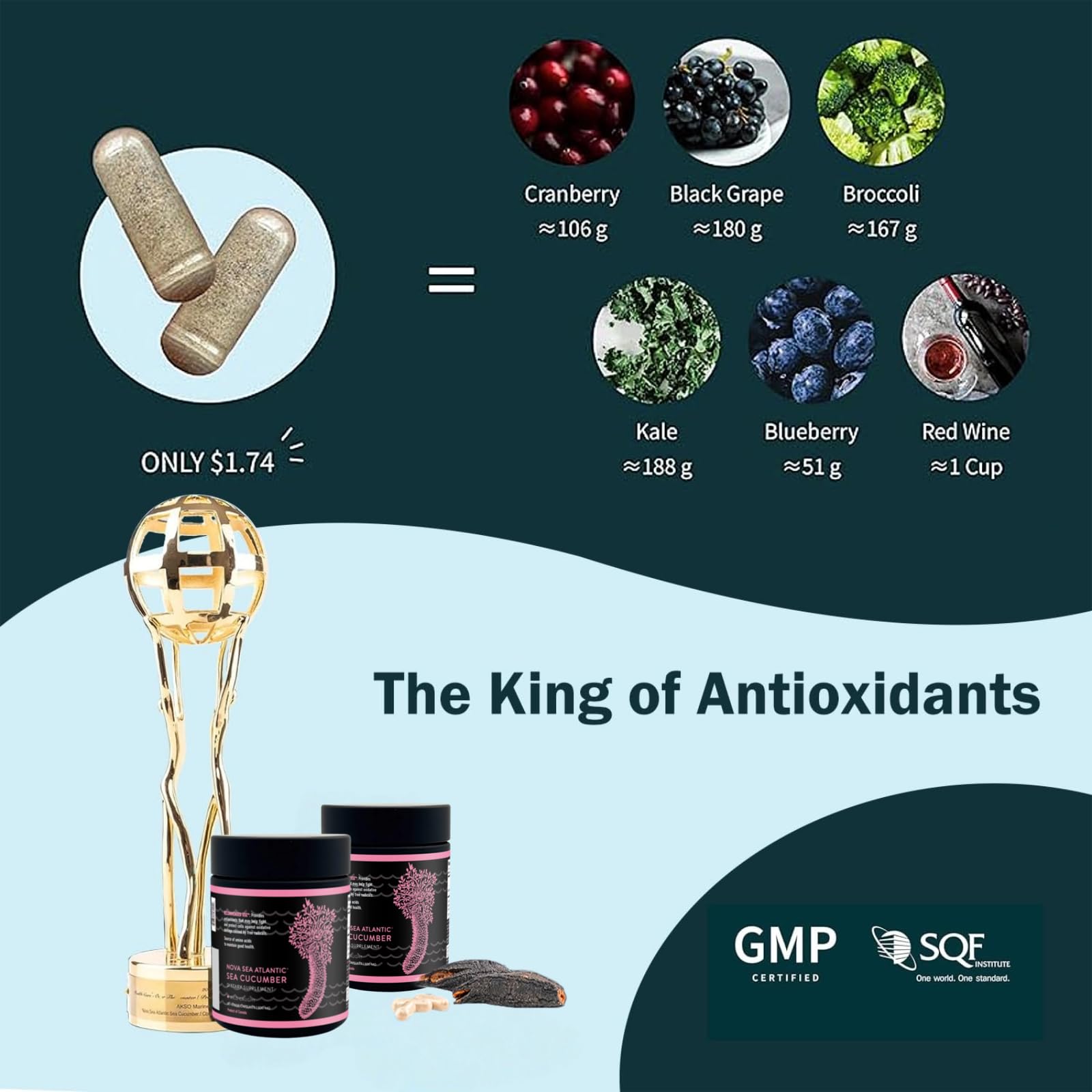 Nova Sea Atlantic wild sea cucumber capsules closeup highlights natural nutrients.