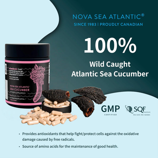 Nova Sea Atlantic wild sea cucumber bottle pour demonstrates smooth flow for measured capsules.