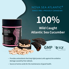 Nova Sea Atlantic wild sea cucumber bottle pour demonstrates smooth flow for measured capsules.