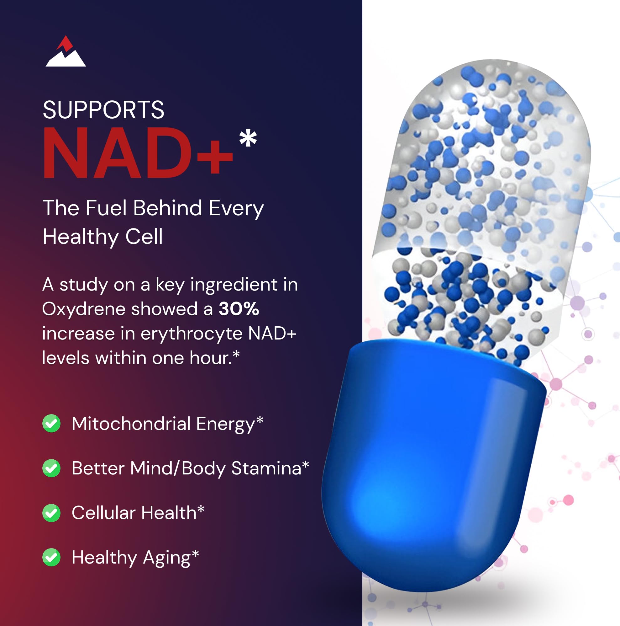Novex Biotech Oxydrene label close-up highlighting NAD+ focus and brand trust.