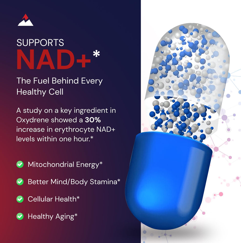 Novex Biotech Oxydrene label close-up highlighting NAD+ focus and brand trust.