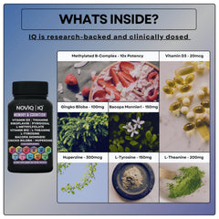NOVIQ IQ 11in1 capsules close-up, showcasing high-potency nootropic blend.