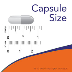 Now Foods 5-HTP capsules poured for easy daily intake.