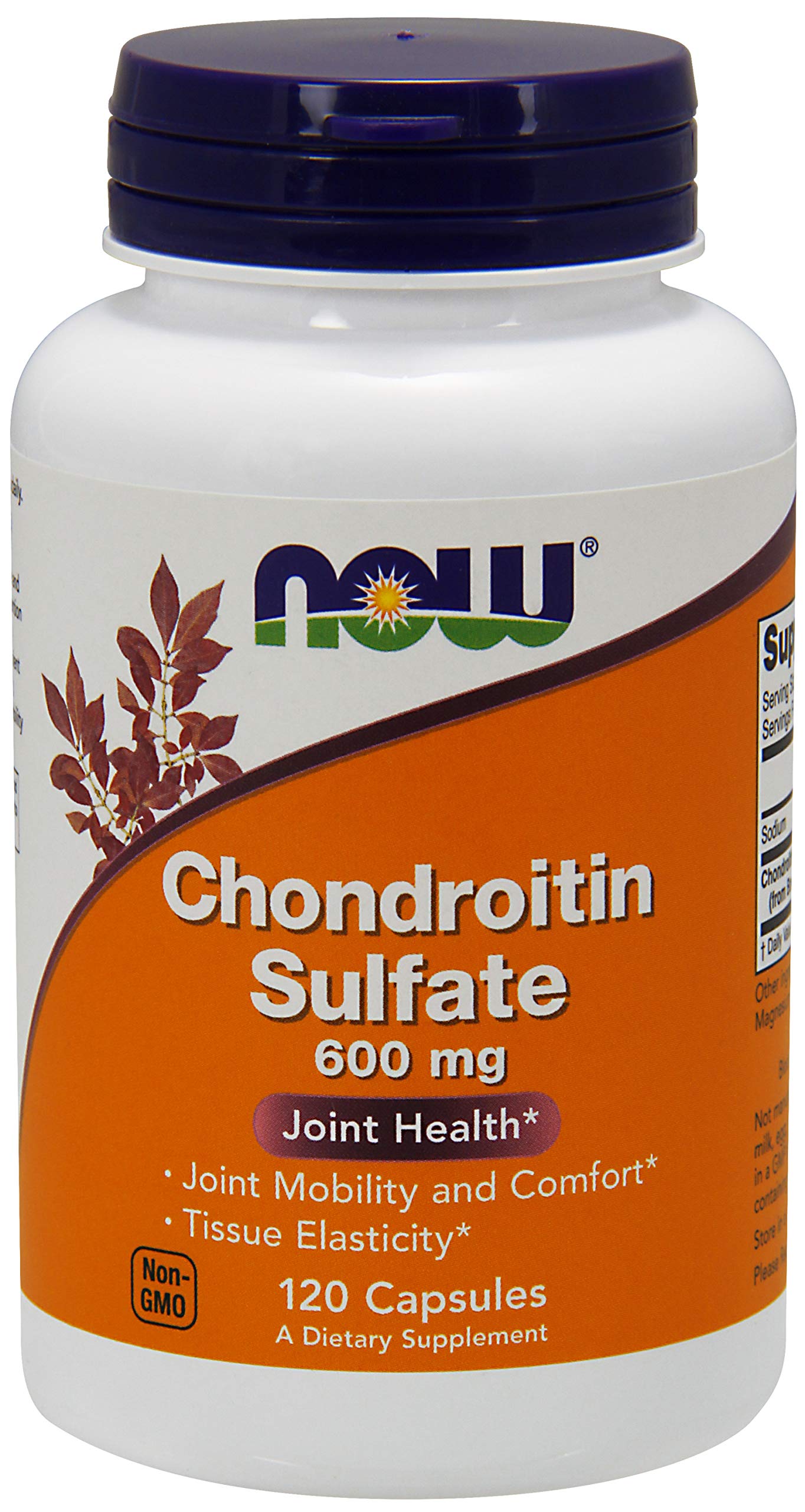 NOW Foods Chondroitin sulfate 600mg bottle for joint support and mobility.