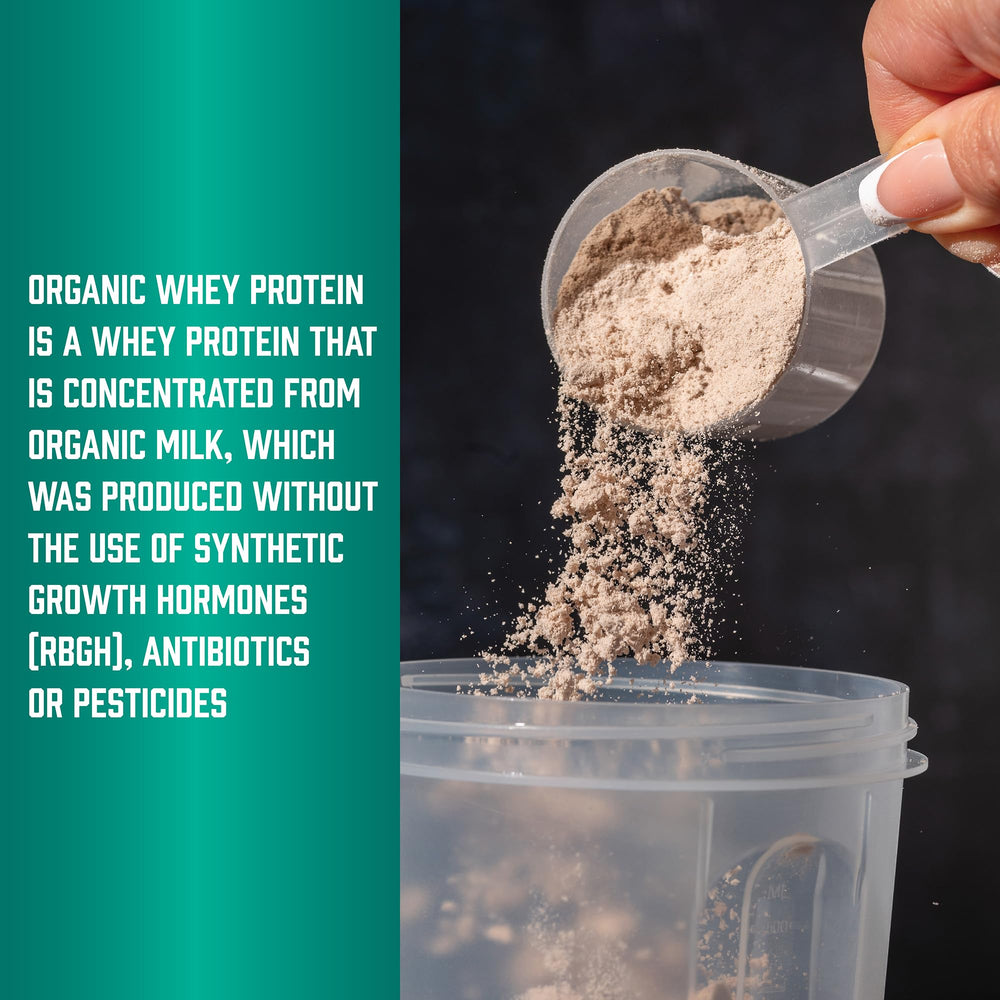 NOW Foods Organic Whey Protein organic certification emblem on packaging.