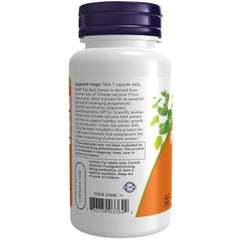 NOW Foods Pine Bark Extract label close-up showing OPCs and EGCG benefits