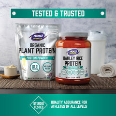 NOW Foods Plant Protein Complex dissolved shake in glass with smooth texture.