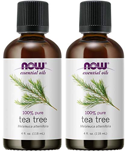 NOW Foods Tea Tree Oil 8oz bottle, pure Melaleuca alternifolia, ideal for cleansing and DIY blends.
