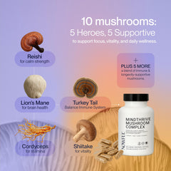 Nowful MindThrive Turkey Tail immune-support capsules for everyday vitality.