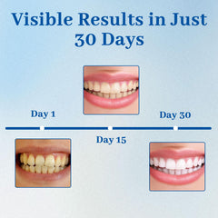 NUDENTA Odontic Repair family-friendly bathroom use for gentle care.