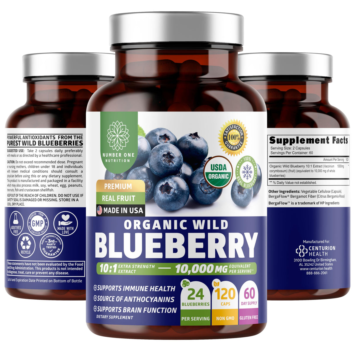 Number One Nutrition wild blueberry extract bottle displays 10:1 concentrate for daily immune support