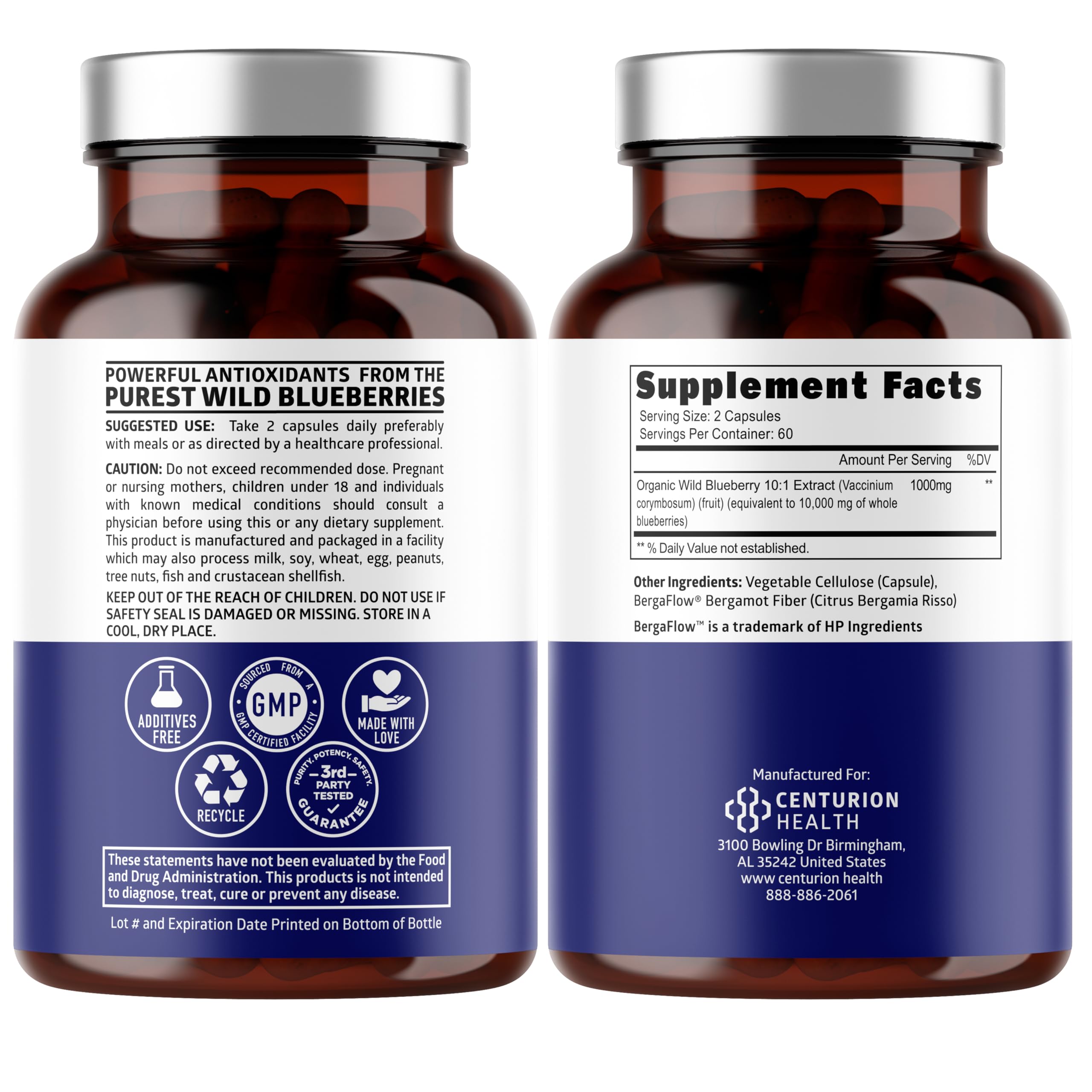 Number One Nutrition wild blueberry extract capsules show 10,000 mg per serving for brain and gut wellness