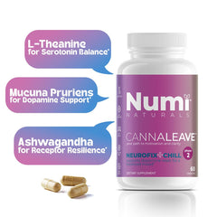 Numi Naturals Neurofix+Chill ingredient icons detailing L-Theanine, Ashwagandha, 5-HTP, GABA.