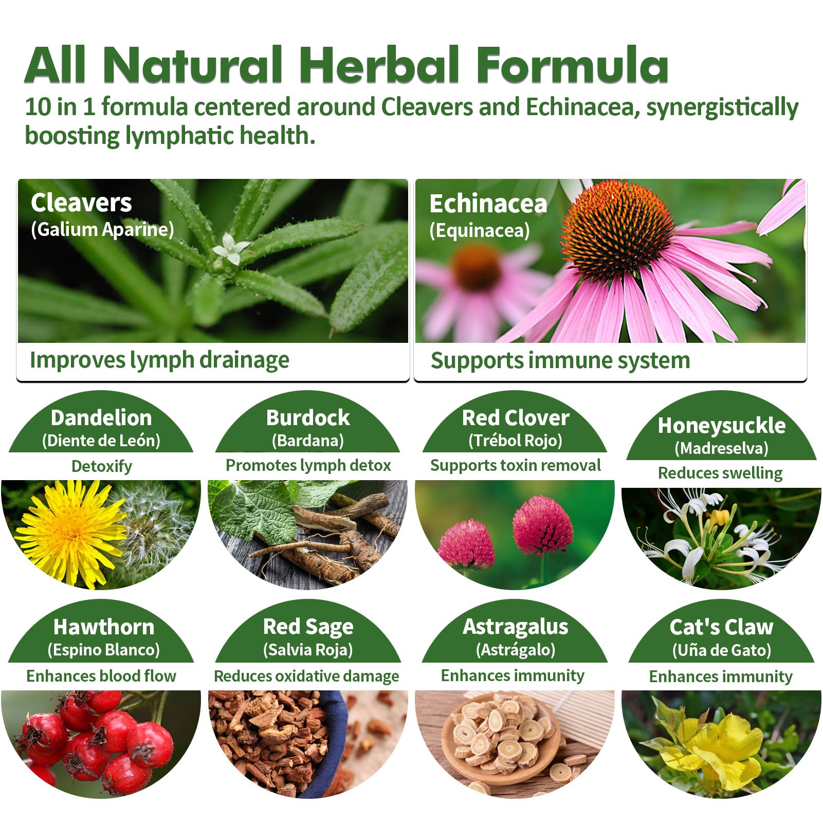 Close-up of Nurbetoxa label listing Cleavers, Echinacea, and other herbs.