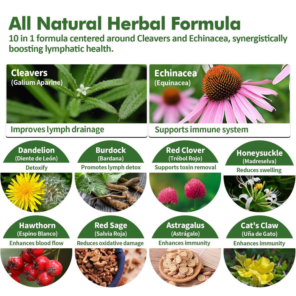 Close-up of Nurbetoxa label listing Cleavers, Echinacea, and other herbs.