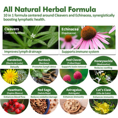 Close-up of Nurbetoxa label listing Cleavers, Echinacea, and other herbs.