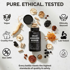 NuroJit Lions Mane and Cordyceps capsule label highlights focus support.