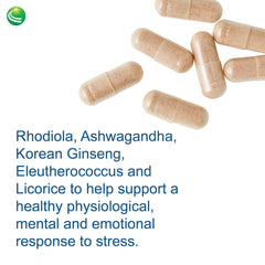 Ingredient visualization emphasizes rhodiola, ashwagandha, and ginseng components