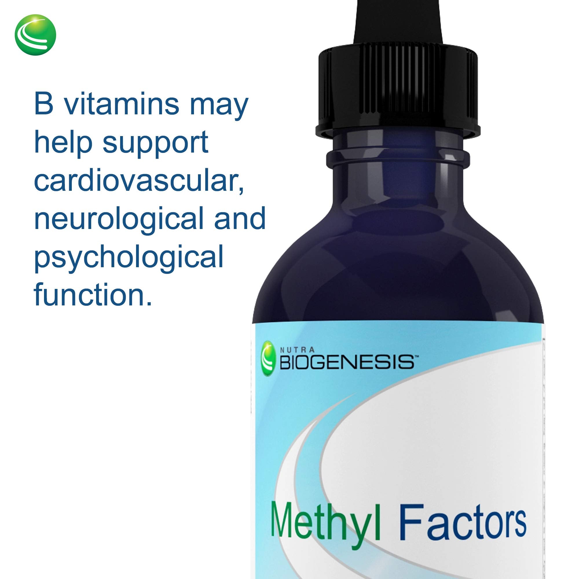 Nutra BioGenesis Methyl Factors sugar-free label highlights guilt-free consumption