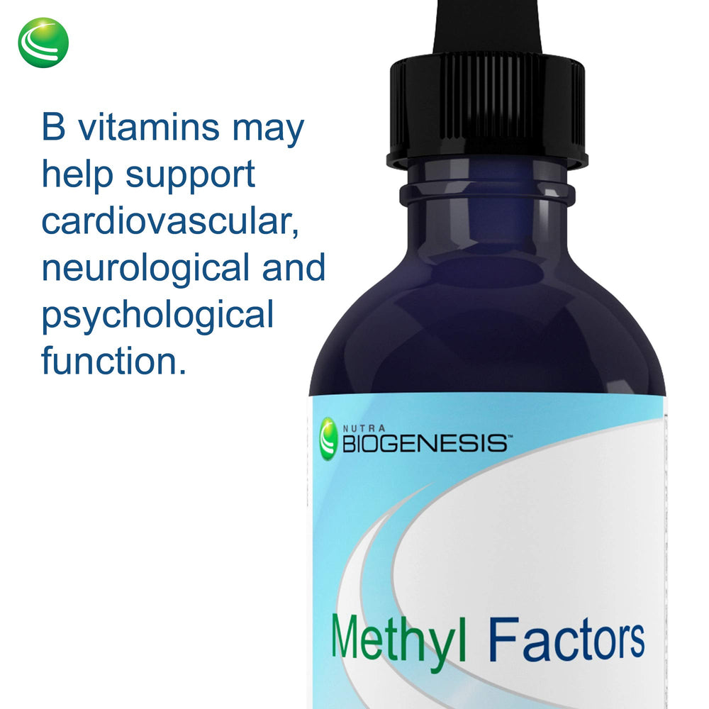 Nutra BioGenesis Methyl Factors sugar-free label highlights guilt-free consumption