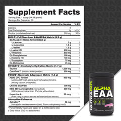 NutraBio Alpha EAA daily scoop enables easy intra- and post-workout fueling.