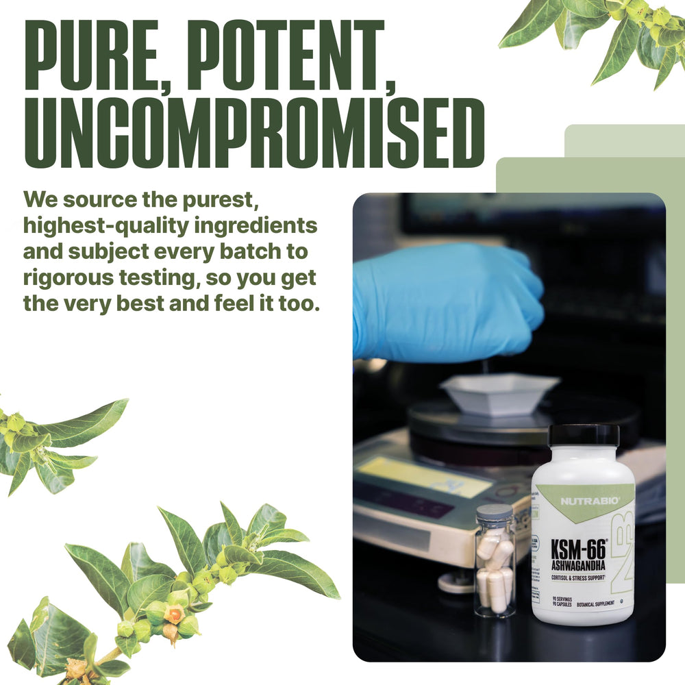 NutraBio Ashwagandha KSM-66 outdoors-ready for daily wellness.