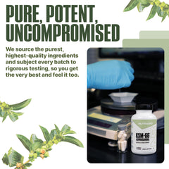 NutraBio Ashwagandha KSM-66 outdoors-ready for daily wellness.