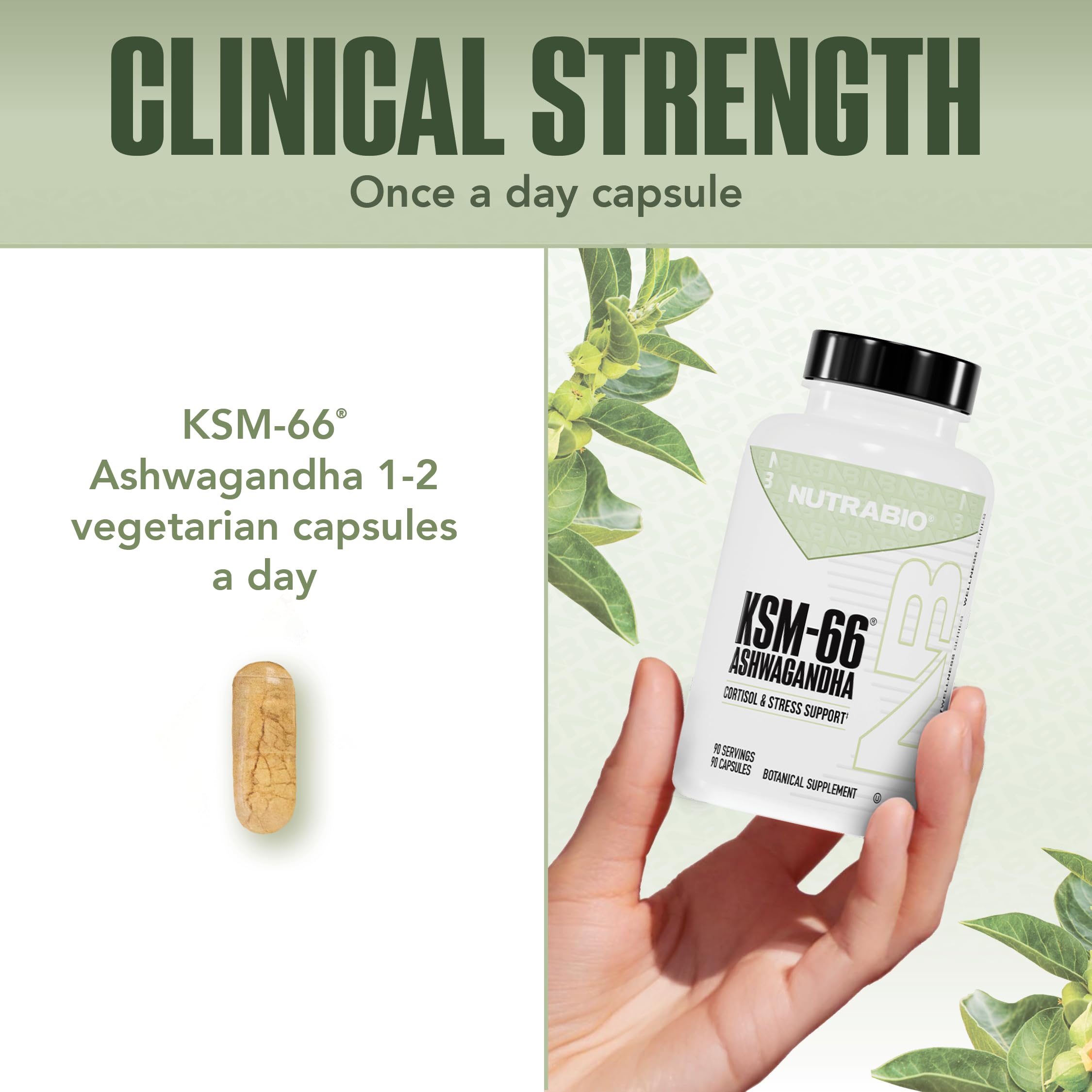 NutraBio Ashwagandha KSM-66 packaging shows bottle and seal.