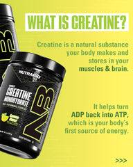 NutraBio creatine monohydrate powder dissolves easily for smooth mixing