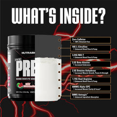 NutraBio STIM-Free PRE Watermelon scoop reveals 20 servings of pump and focus ingredients.