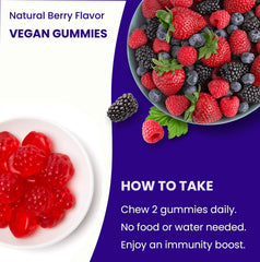 NutraChamps Elderberry Gummies with propolis and echinacea ingredients for balance