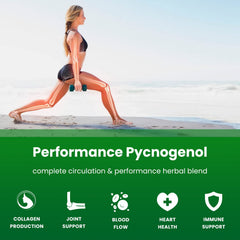 NutraChamps Pycnogenol capsules with black pepper for better absorption