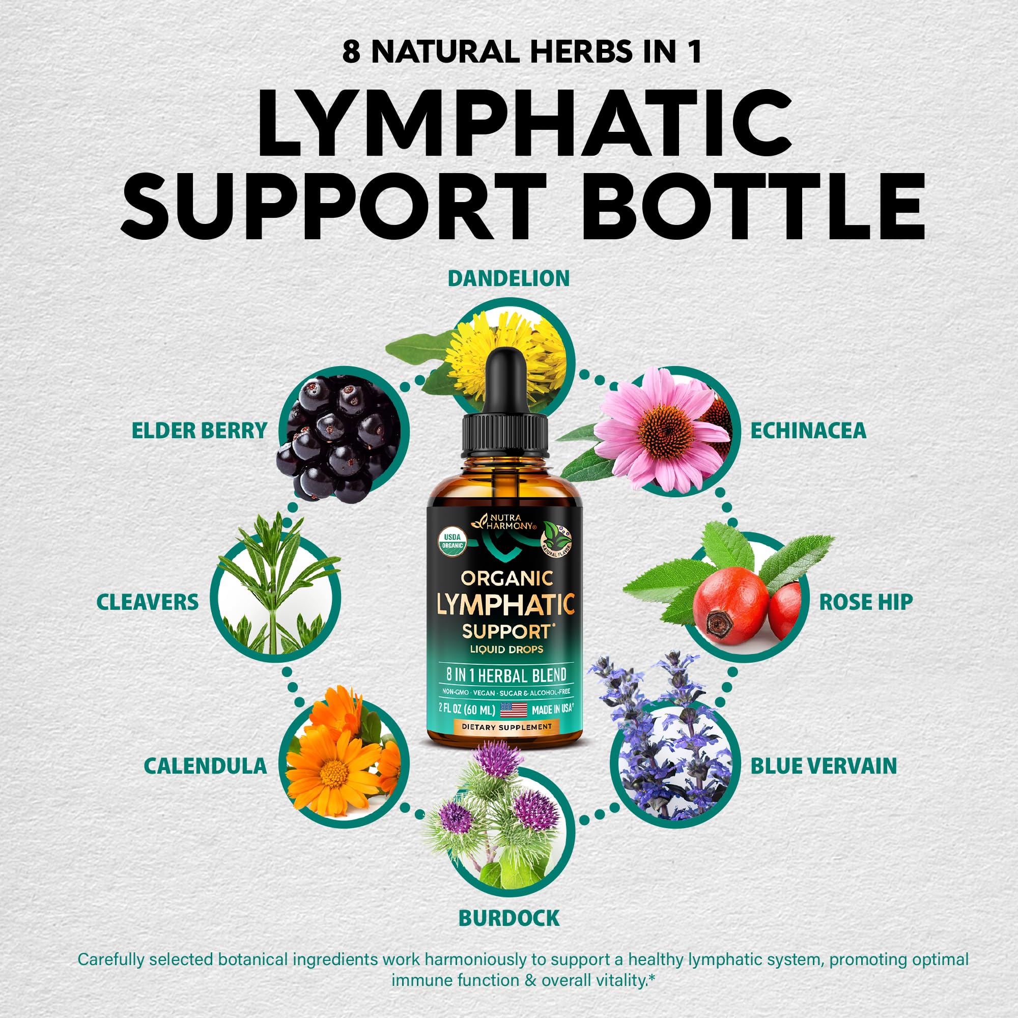 NutraHarmony Lymph Drops herbs assembly emphasizes cleansing botanicals.