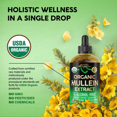 NUTRAHARMONY Mullein Drops tea setup with cup for easy infusion.