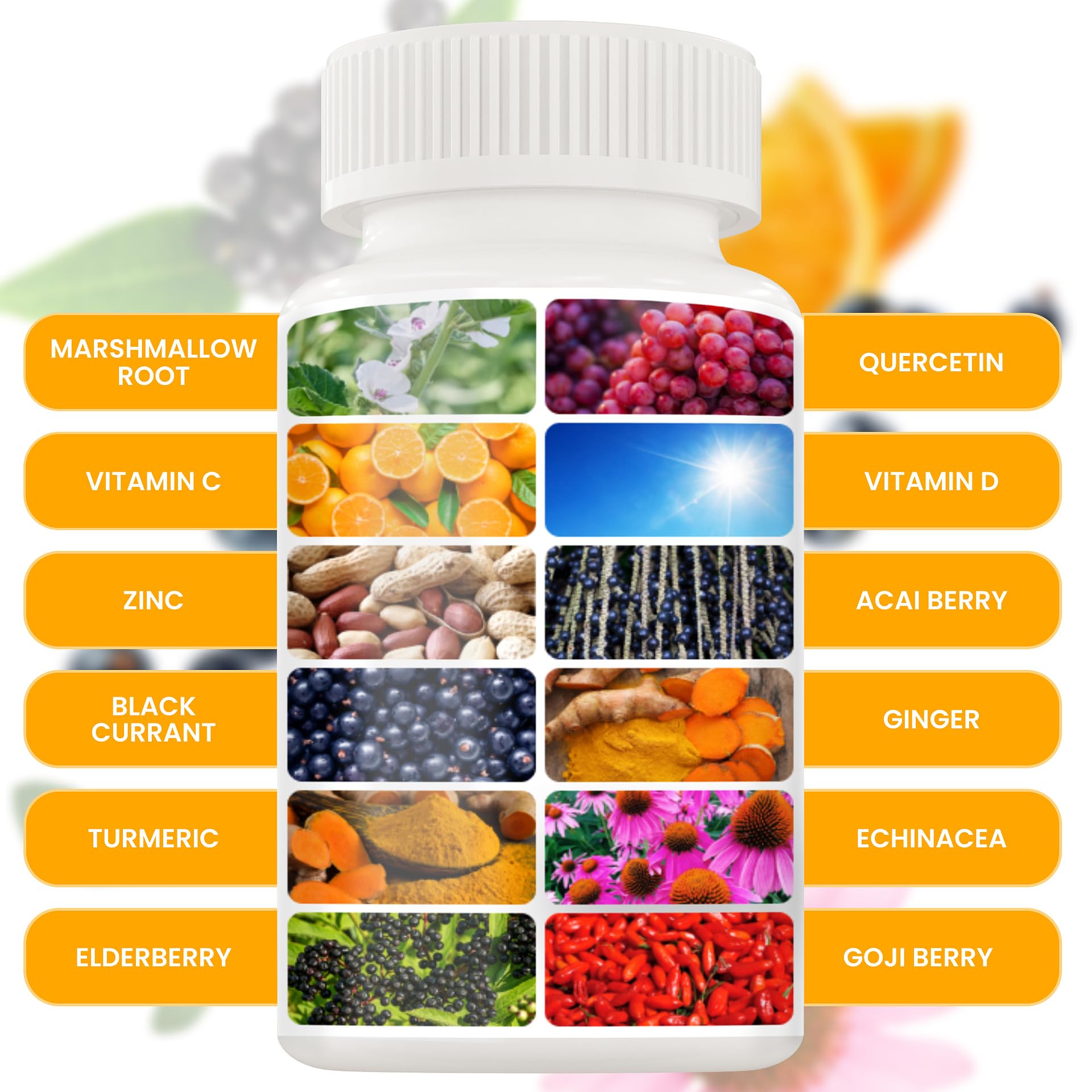 NUTRALIZIZER ingredients in glass bottle highlighting zinc, vitamin C, and elderberry for immune wellness.